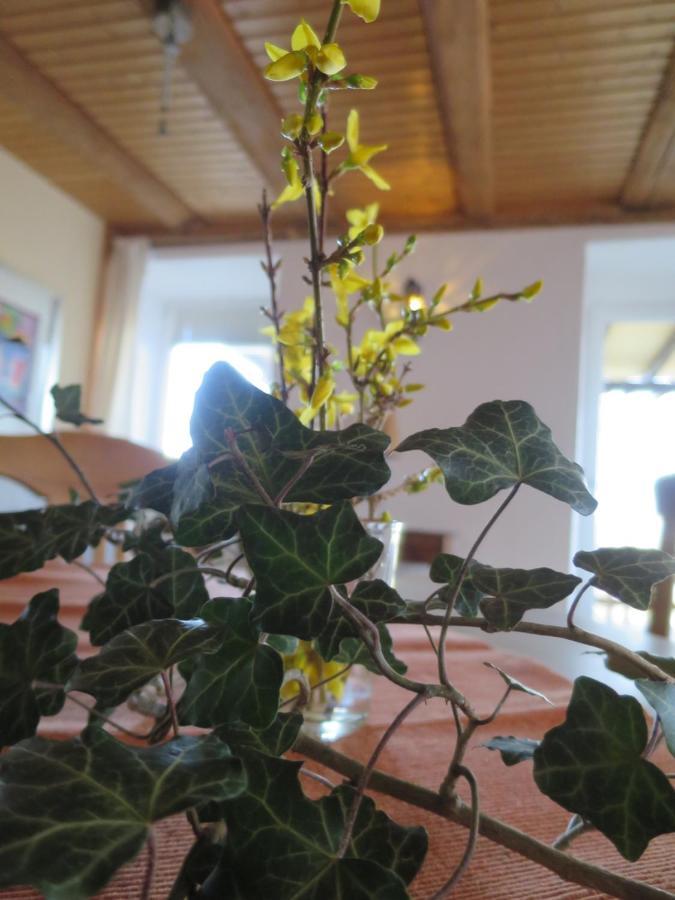Alpaka-Ferien Lägenhet Wiechs am Randen Exteriör bild